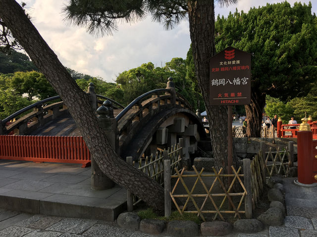 鶴岡八幡宮的莊嚴與美麗：探索鎌倉的靈魂