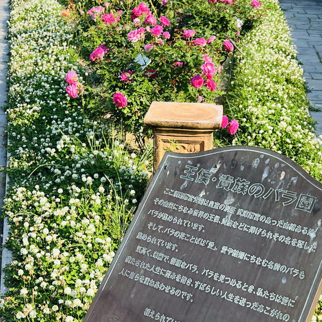 須磨離宮公園（バラ園・花しょうぶ園・あじさい園）