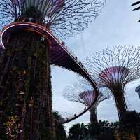 新加坡不能錯過之Garden by the bay