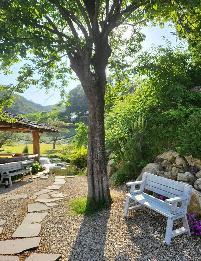 봄나들이 가기 딱인 부산근교 정원카페🧡