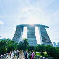 🇸🇬 Dragonfly bridge