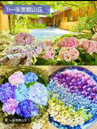 〜神奈川県〜穴場〜ライトアップまで！紫陽花スポット6選！