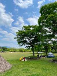 Yeoncheon jeongokri ruins 
