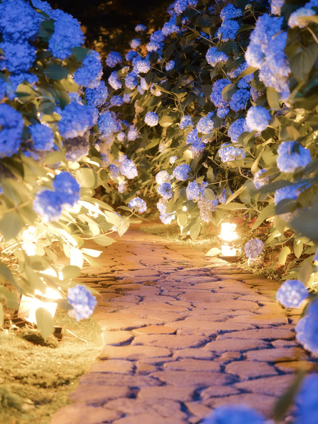 "死ぬまでに行きたい！世界の絶景"に選ばれた場所😍✨ライトアップver