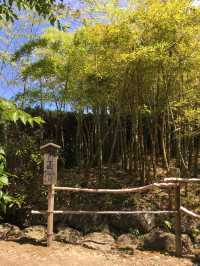 隠岐島社家億岐家住宅：探訪傳統與歷史