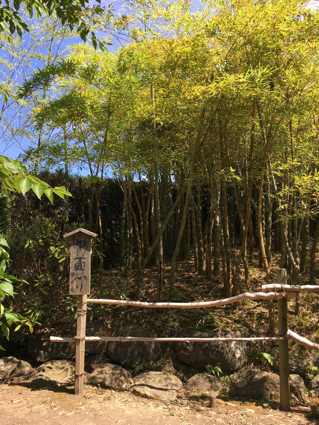 隠岐島社家億岐家住宅：探訪傳統與歷史