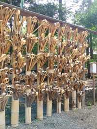 祈福參拜「大國魂神社」欣賞精緻木雕建築藝術