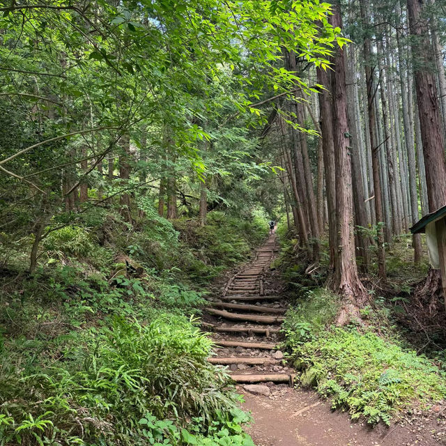 羅𦥑岳：壯麗火山景緻