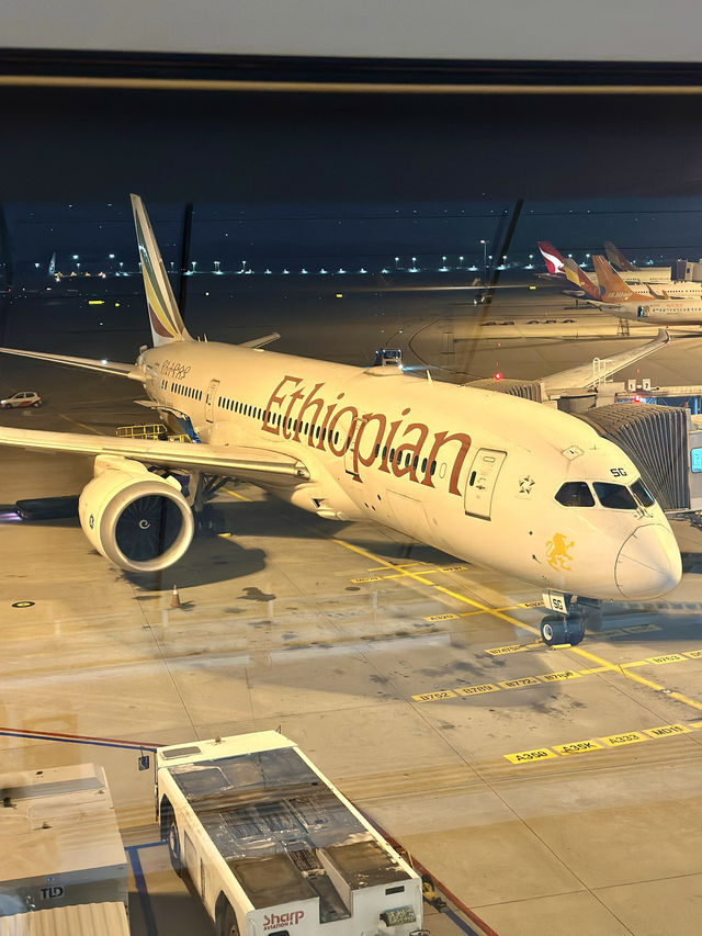 📍 エチオピア航空搭乗記