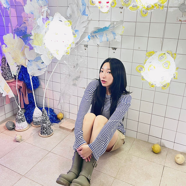 🌳이 우뚝 서있는 영월의 자연보존 랜드마크  