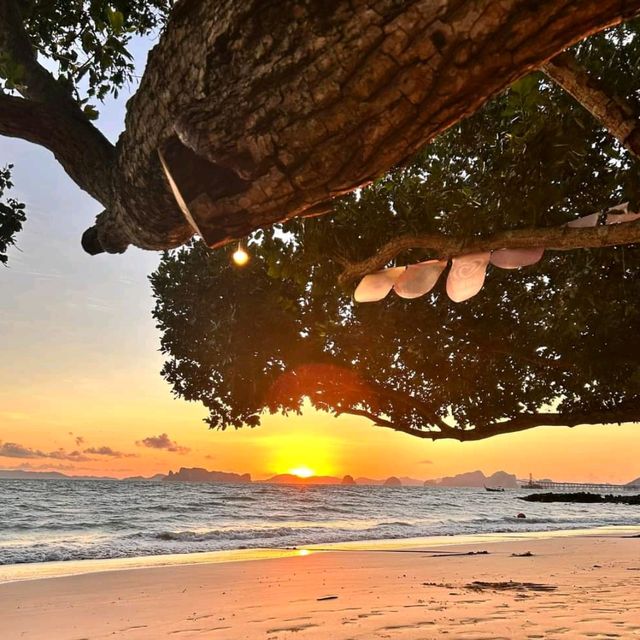 Discover the Beauty of Thailand 🇹🇭🌴✨