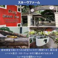 【バンコク】9割知らない！？超マイナー観光地！