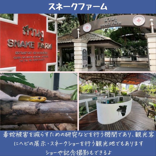 【バンコク】9割知らない！？超マイナー観光地！
