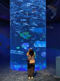 ท่องโลกใต้ทะเลที่ The Grand Aquarium Hong Kong 🐡