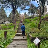 Alishan Taiwan