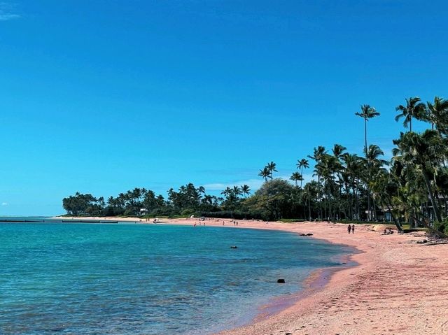 🌴 Beach Life at the Kahala Resort