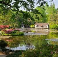 Nature's Oasis: Discovering Hangzhou Botanical Garden