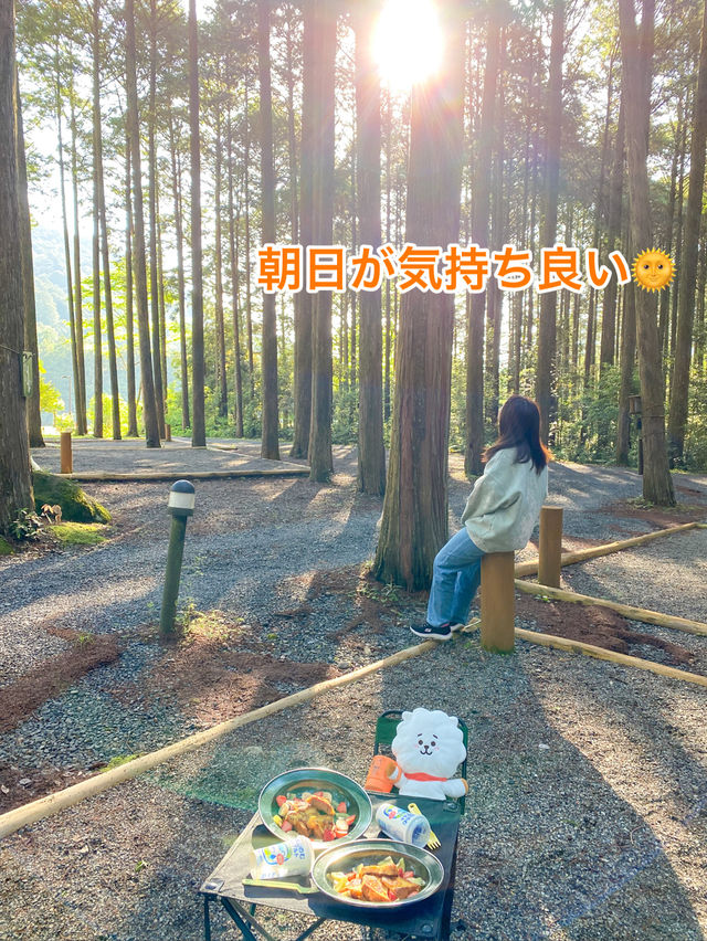 【三重 紀北町】キャンプinn海山で自然満喫！⛺️🌲