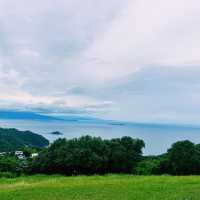 【小室山】繡球花盛放，一人吊車更好玩