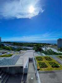 絶景❣️安藤忠雄氏プロデュースの百段苑☺️💐
