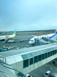 札幌　札幌観光　新千歳から羽田へANA便で快適フライト！空弁も