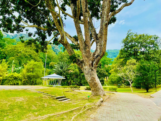 Penang Botanic Gardens is a serene experience🇲🇾
