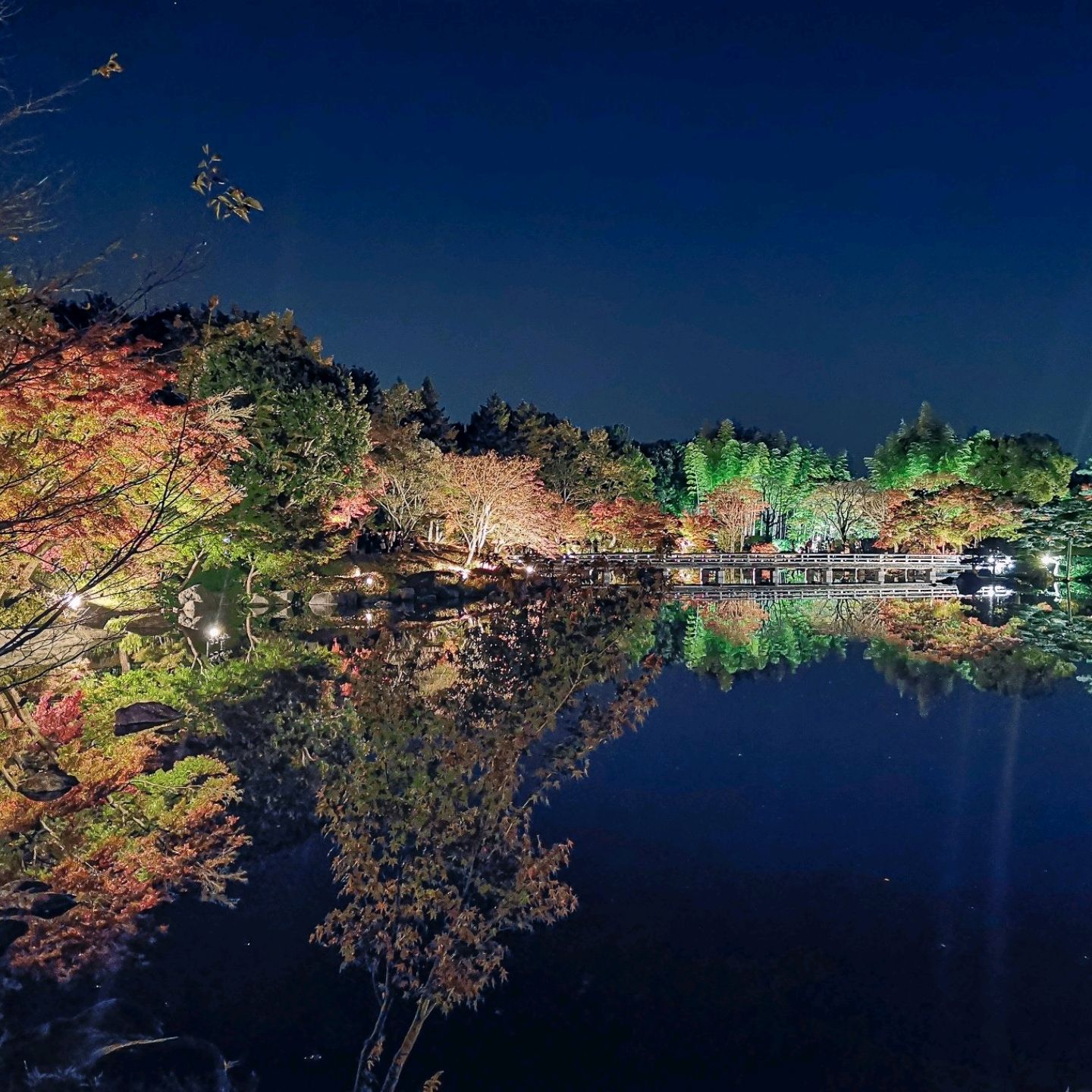 豪華で新しい 国営昭和記念公園】紅葉ライトアップ | 立川 Trip.com その他