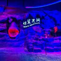 珠海室內好去處長隆飛船樂園