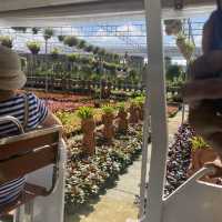 ยิ่งใหญ่ อลังการ! Nongnooch Garden Pattaya