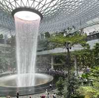 Tropical Oasis at Changi