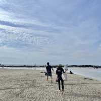 제주여행🏝️ 에메랄드 빛으로 빛나는 바다, 함덕해수욕장🩵