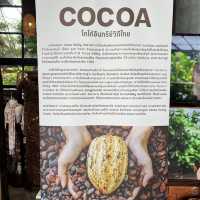 Cocoa Valley Cafe