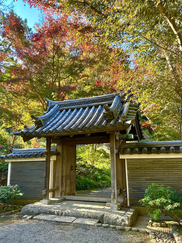 〜神奈川県〜横浜の小京都！秋の三溪園