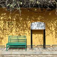Charming Discoveries in Kunming
