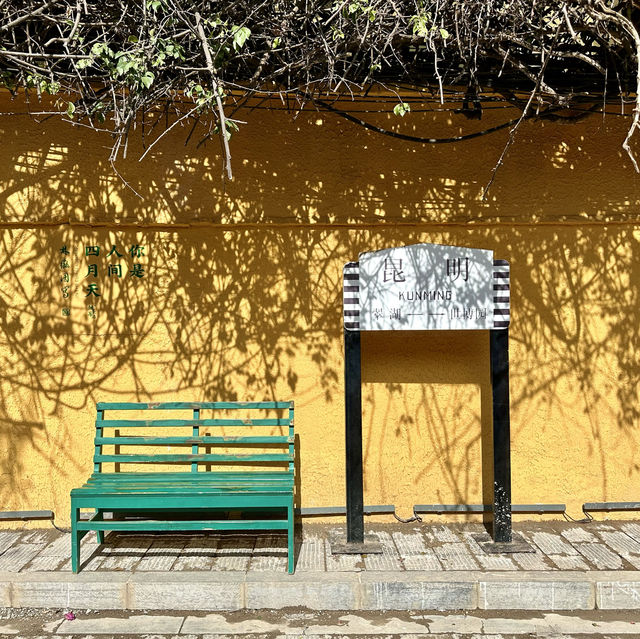 Charming Discoveries in Kunming