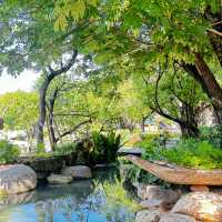 คาเฟ่ ฉะเชิงเทรา ฟิวเขาใหญ่ 