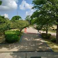 四季折々のイベント「大池公園」