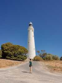 📍Rottnest Island