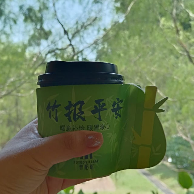 Greenhouse Café at Putuo Village: Where Nature Meets Tranquility.