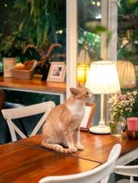 คาเฟ่ลับบ้านคุณปู่ Grandpa's house 🏡🦍🍚☕️