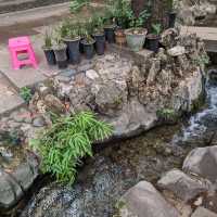 Ultimate Zen & Chill at Shaxi Ancient Town!
