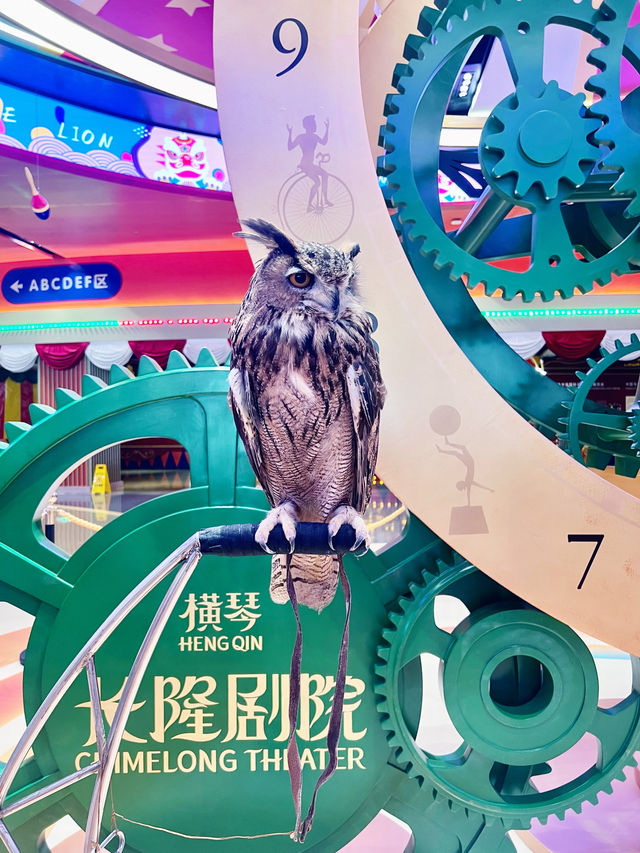 【珠海長隆】橫琴長隆秀：28國馬戲精英同台，空中飛人和電單車特技最精彩！