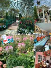 🇸🇬Flower Dome Singapore 
