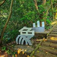 【臺北】市民喜愛的郊山步道之一，適合各年齡層的登山愛好者。