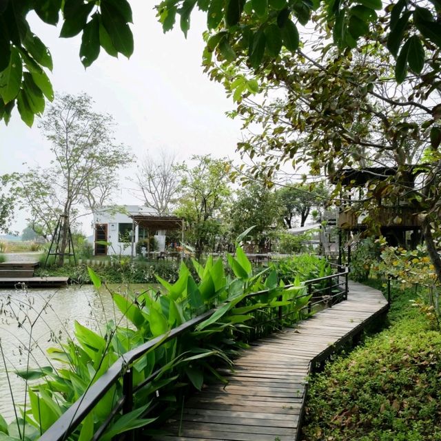 บ้านสวนรอยจรัล: คาเฟ่มินิมอลสุดโฮมมี่ในอยุธยา