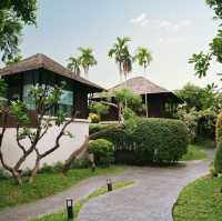 The Palayana
