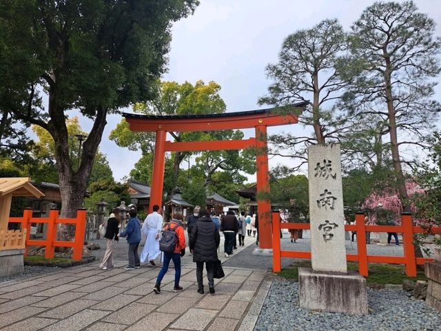 【城南宮:京都市伏見区】2月に咲く美しい梅に感動する✨