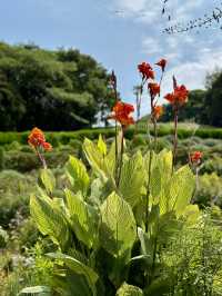 A hidden botanical garden on a private island 🌺