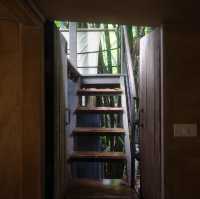 บ้านในหมง treehouse 