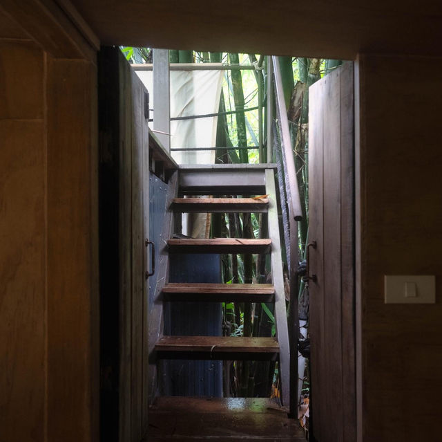 บ้านในหมง treehouse 